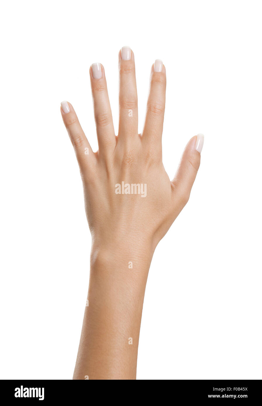 Zarte Frauenhand verlängert mit schönen gepflegten Fingernägeln, Hintergrund weiß, isoliert Stockfoto