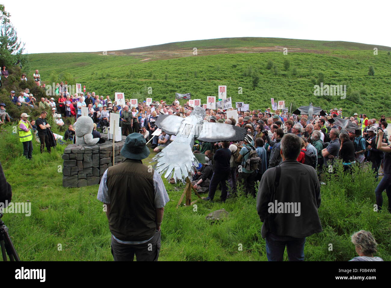 Demonstranten Kampagne gegen die illegale Verfolgung von Kornweihen am Kornweihe, Goyt Valley Derbyshire England UK Stockfoto