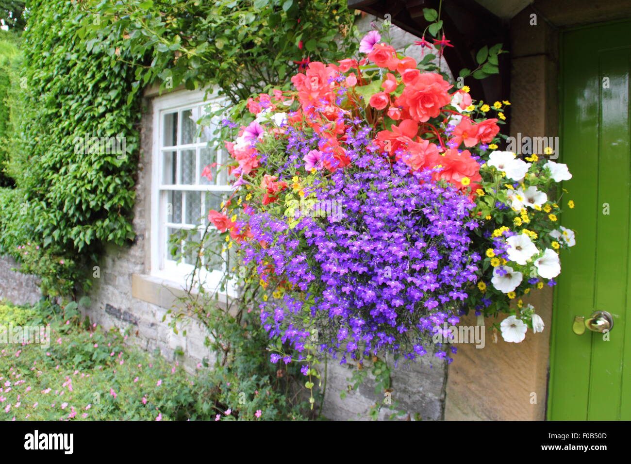 Blumenampeln umrahmen die Tür zu einem traditionellen Steinhaus im Peak District, Derbyshire, England UK im Sommer Stockfoto