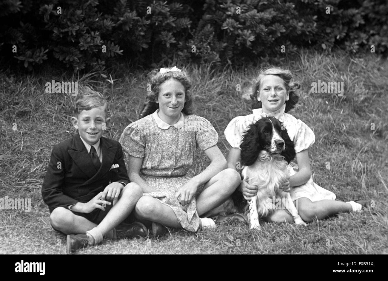 Zwei Mädchen und ein Junge sitzen auf dem Rasen mit ihrem Spaniel Hund. Stockfoto