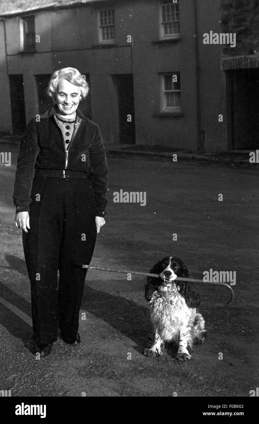 Eine reife Frau, stehend auf der Straße mit ihrem Spaniel Hund hält einen Spazierstock. Stockfoto