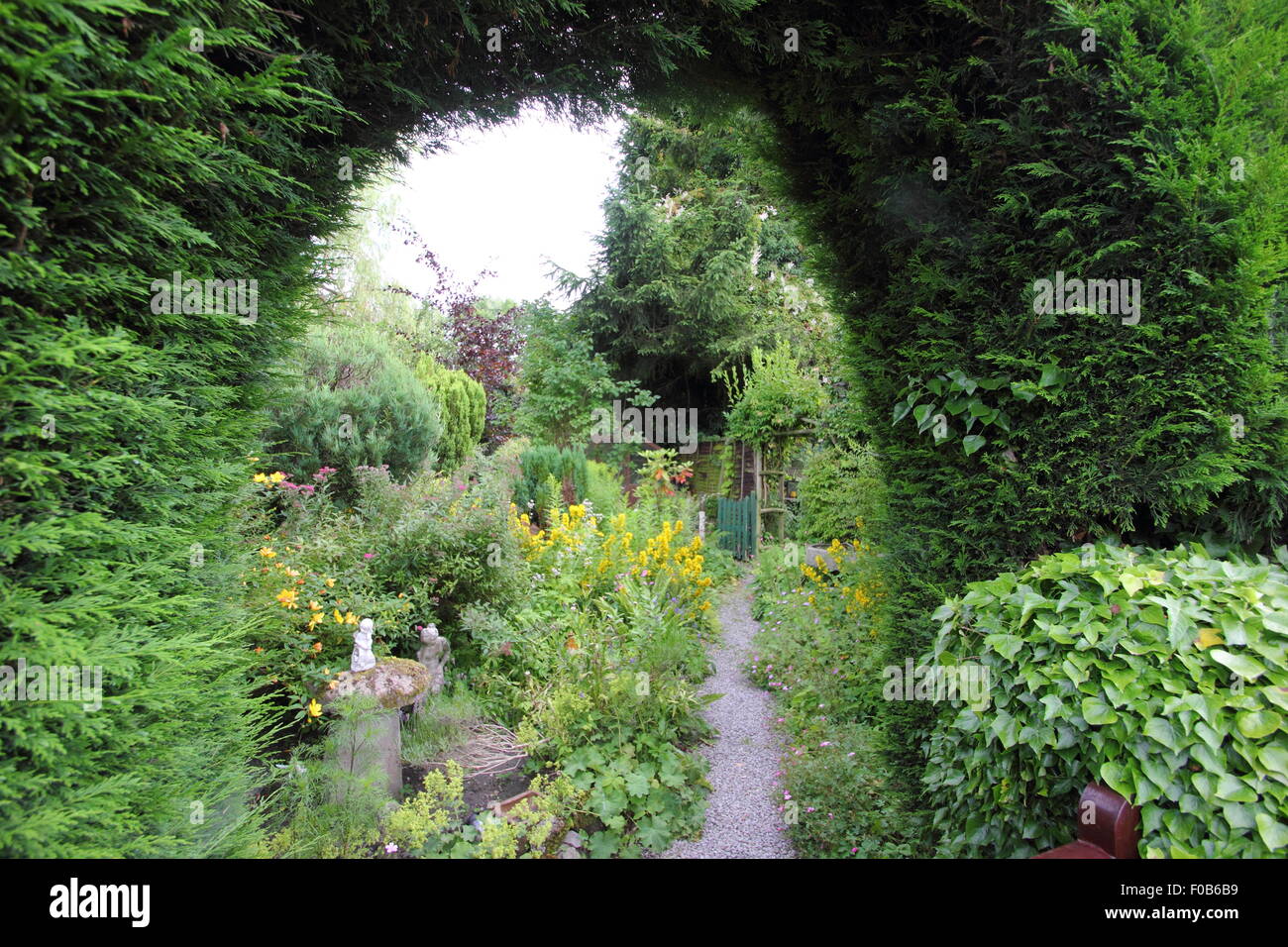 Einen englischen Country Cottage-Garten gesehen durch eine gewölbte Tanne Hecke, Peak District, Derbyshire, England UK - Sommer Stockfoto