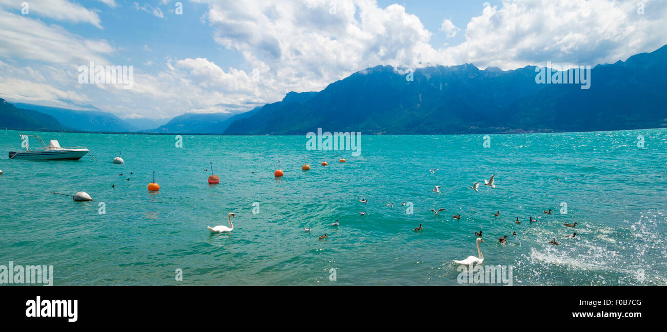 Blick auf die Riviera des Genfersees in Vevey, Stadt in der Schweiz Stockfoto