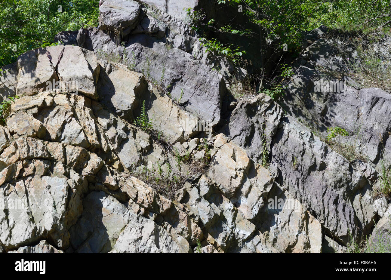 Schichten von Pre Cambrian Gneis zeigt Antiklinalen und karbonischen, northern NJ Stockfoto
