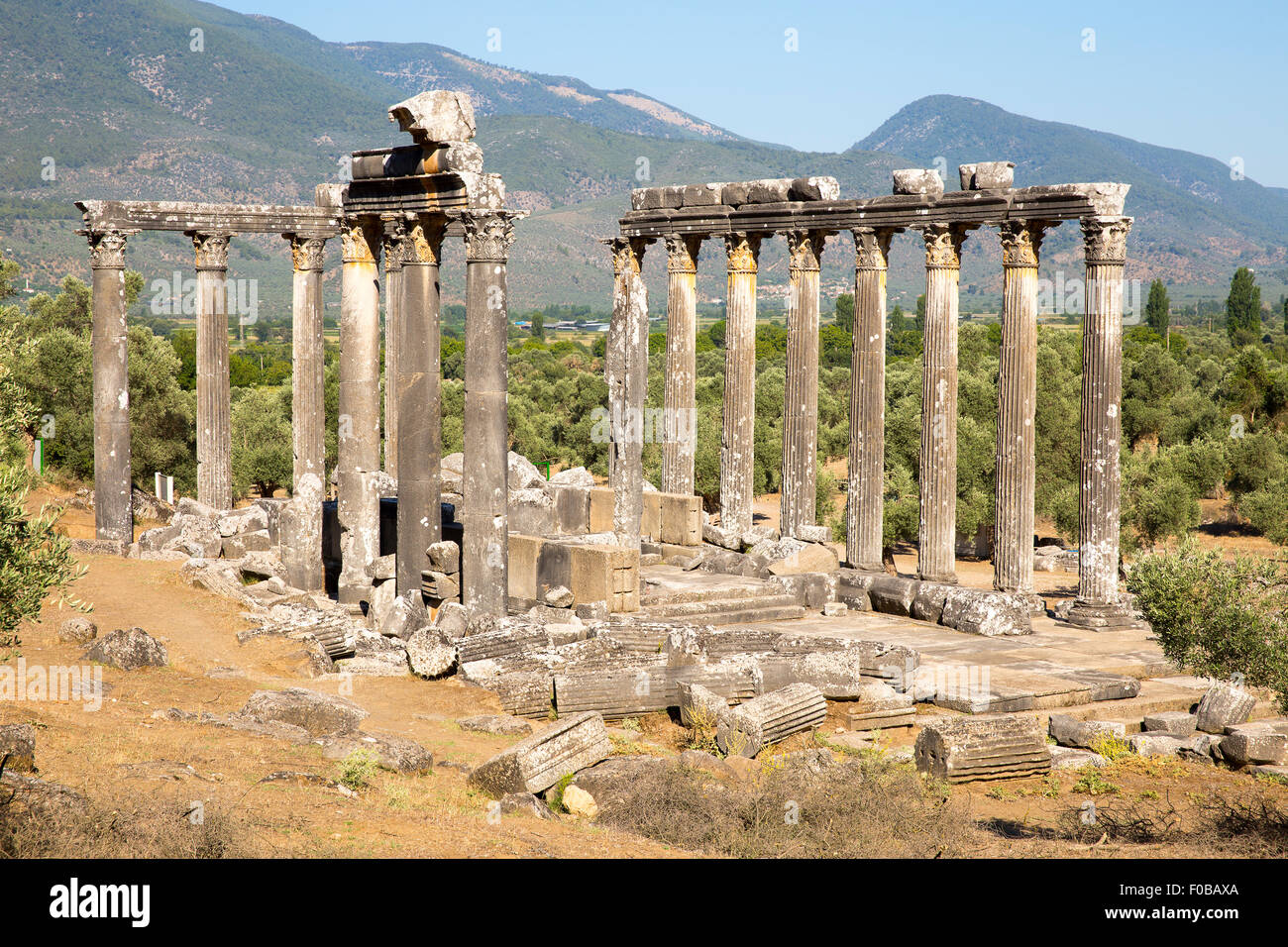Spalten von der alten Tempel des Zeus Euromos, auch Eunomus Eunomos, früher Kyromus und Hyromus Stockfoto