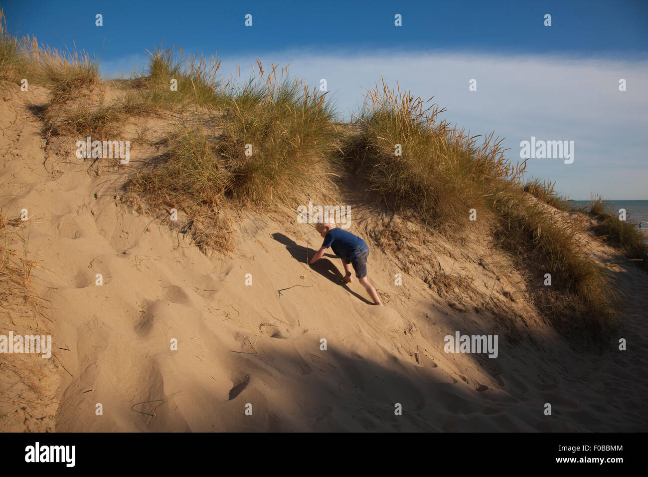 Sanddünen in Camber Sands Beach, Sturz in der Nähe von Roggen, East Sussex, England, UK Stockfoto