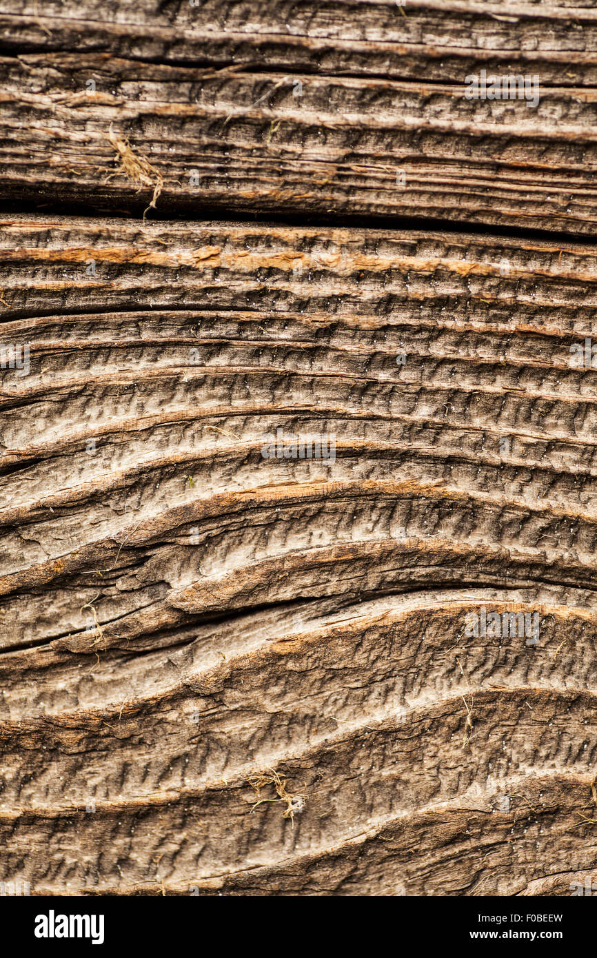 Tief Holzmaserung Textur auf einem Stück von verwittertem Holz Stockfoto