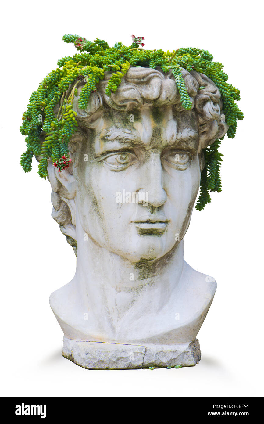 Replik von Michelangelo klassischen römischen Gott David Büste mit Pflanze Kopfschmuck Stockfoto