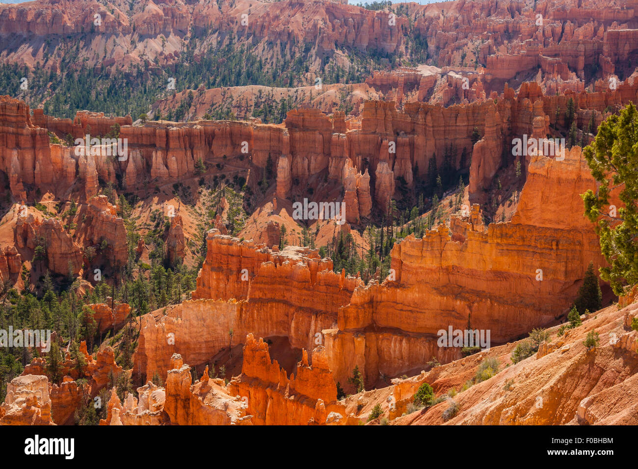Blick vom Inspiration Point im Bryce Canyon Stockfoto