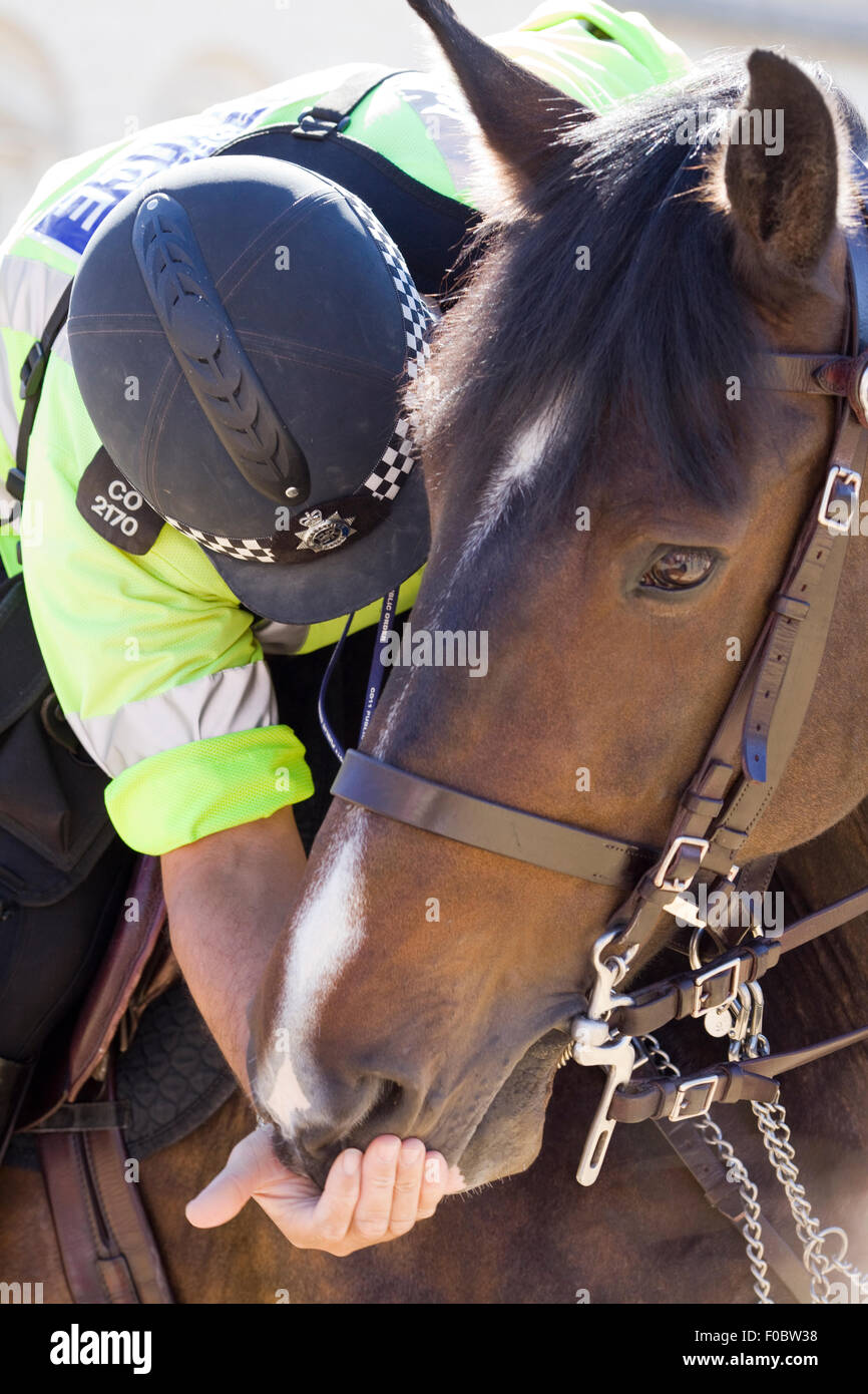 Berittene Polizisten Stockfoto