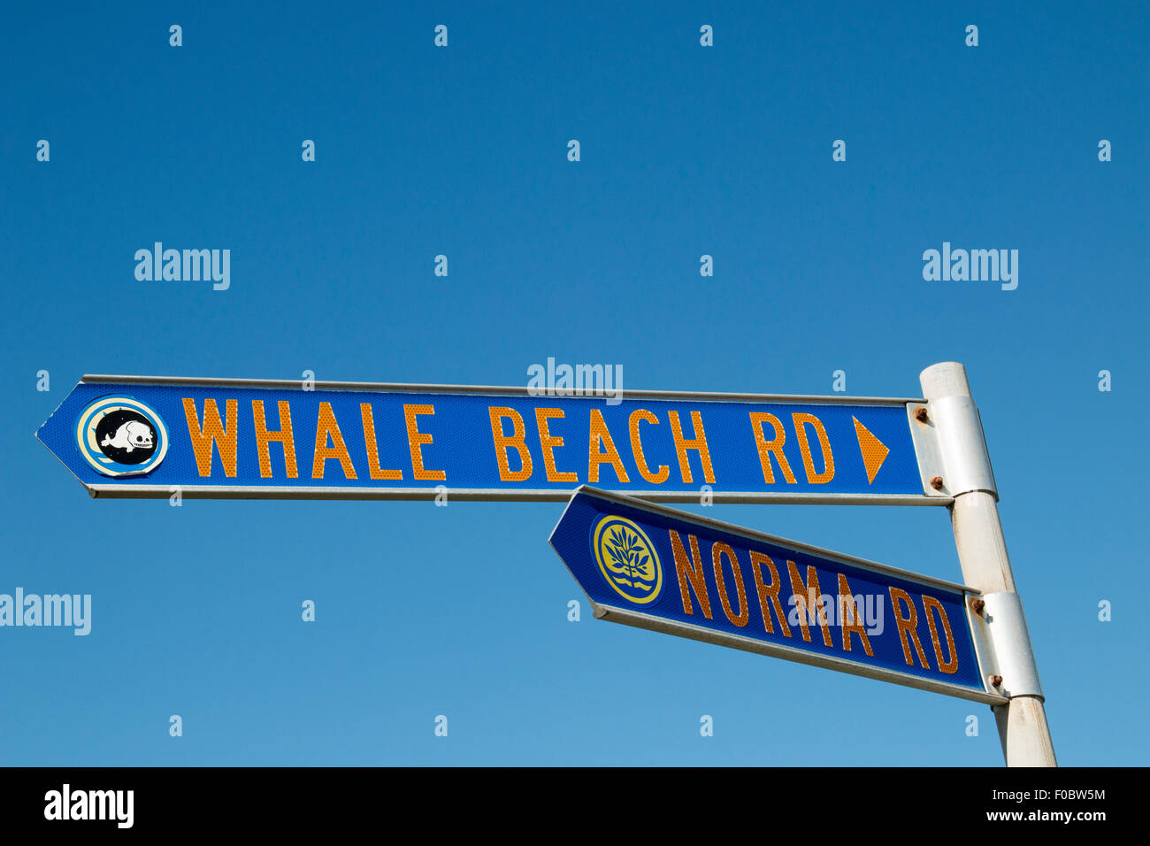 Wal-Strand Straße Straße Straßenschild, angrenzend an Wal-Strand Vorort Sydney, New South Wales, Australien Stockfoto