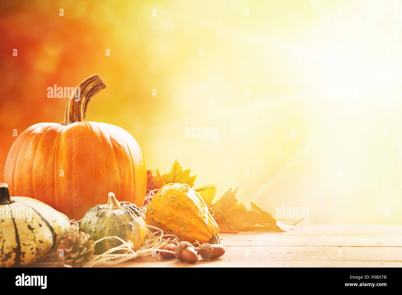 Eine rustikale Herbst Stilleben mit Kürbissen und goldene Blätter auf einer Holzfläche. Helles Sonnenlicht von hinten herein. Stockfoto