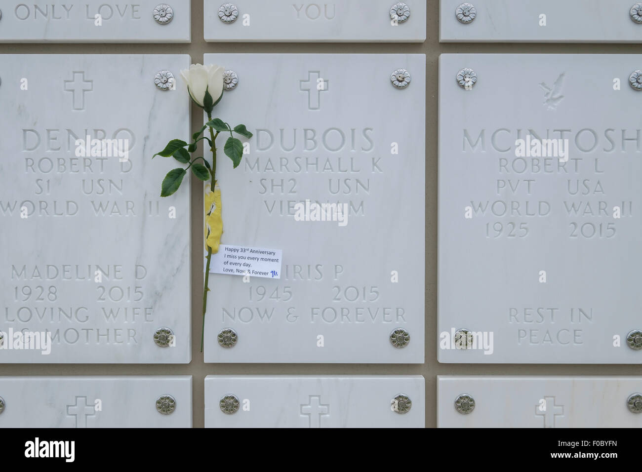 Urnenbestattung in Sarasota Staatsangehörig-Kirchhof mit einer Blume befestigt. Stockfoto