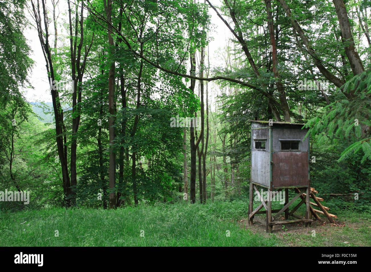 Jäger-Box Stand auf der Lichtung. Holzen, untere Sachsen, Deutschland, Europa Stockfoto