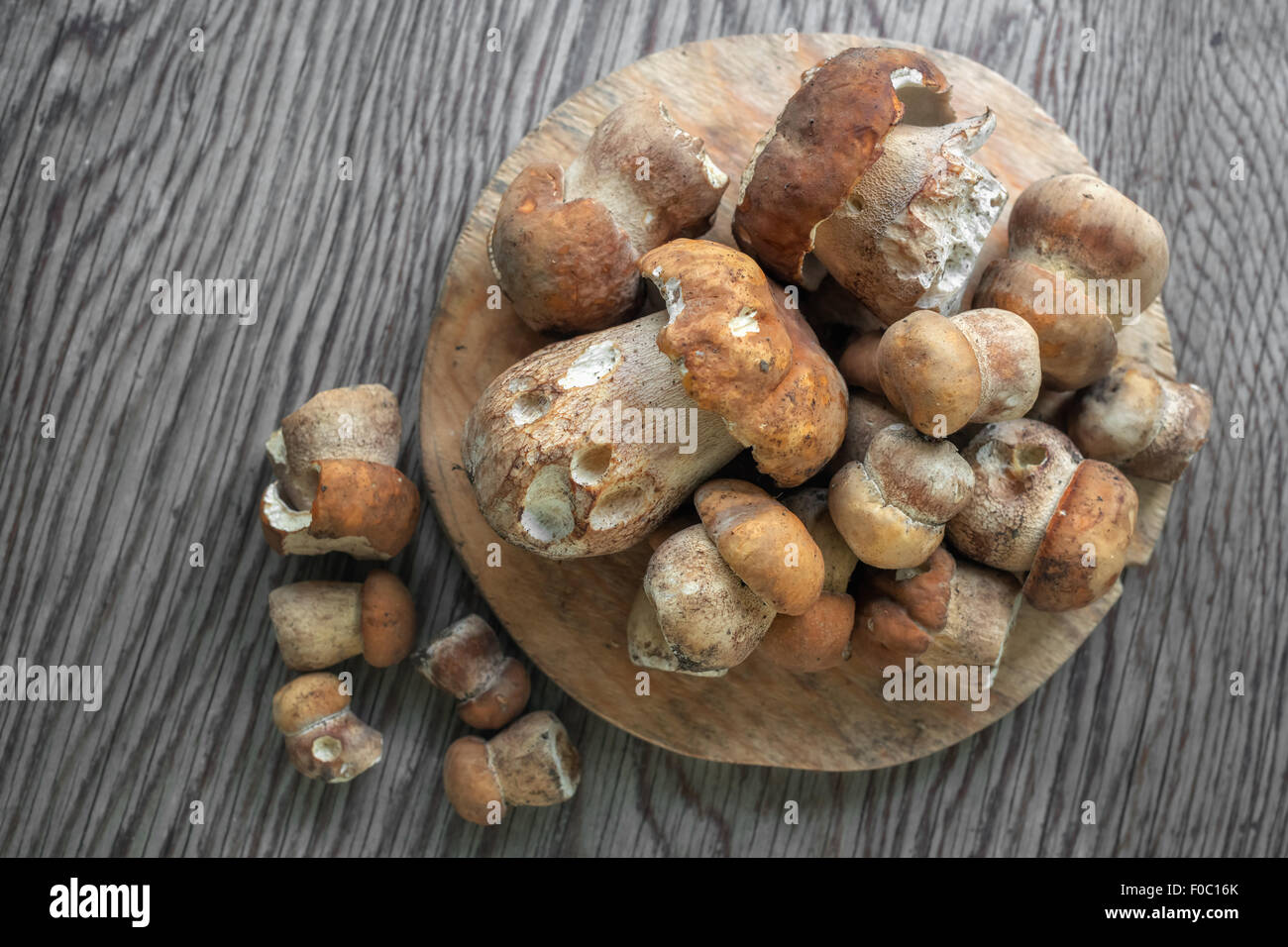 im Herbst Pilze auf Holz Tisch Stockfoto
