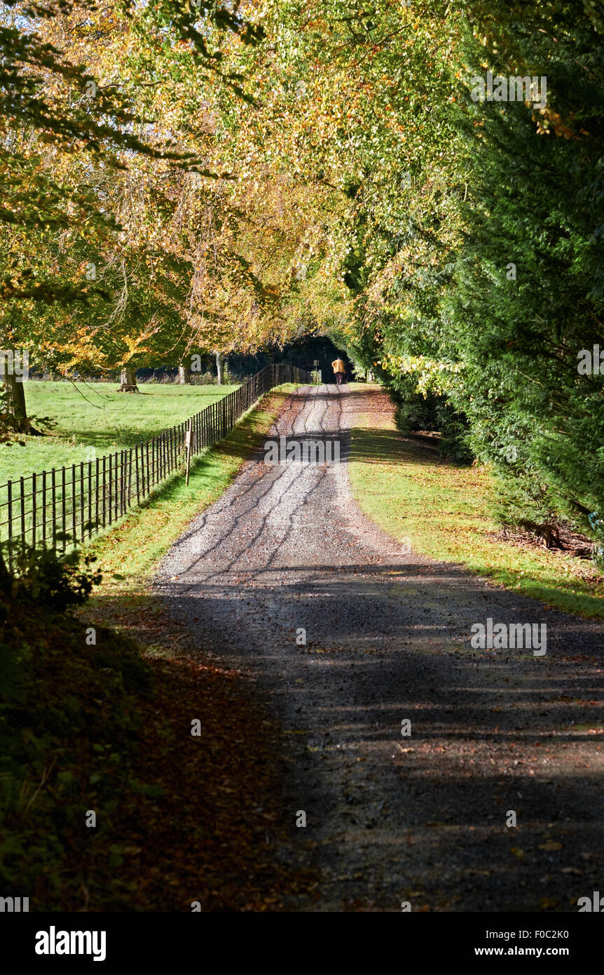 Eine Spur führt durch Wallington Hausgärten in North East England, UK. Stockfoto