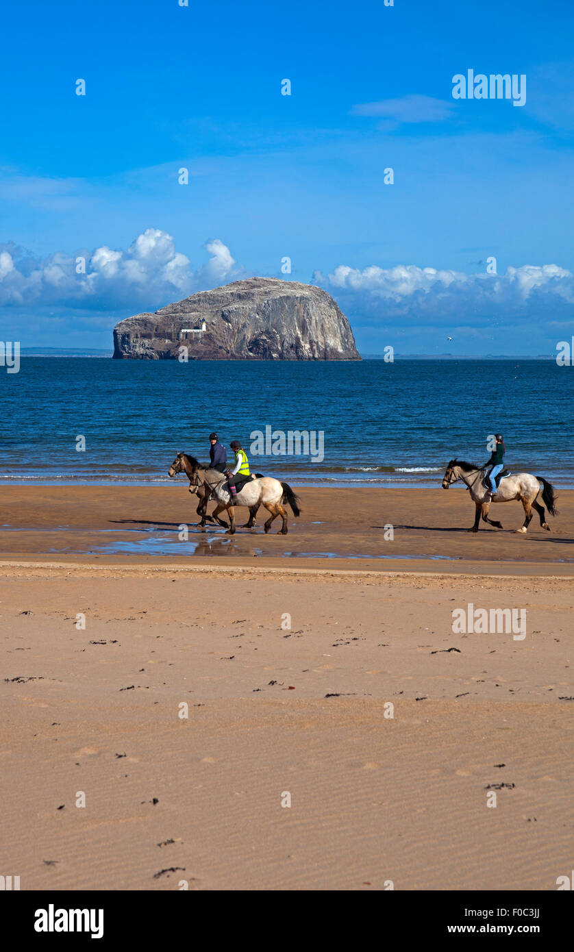 Reiter am Strand von East Lothian mit Bass Rock im Hintergrund Scotland UK Stockfoto