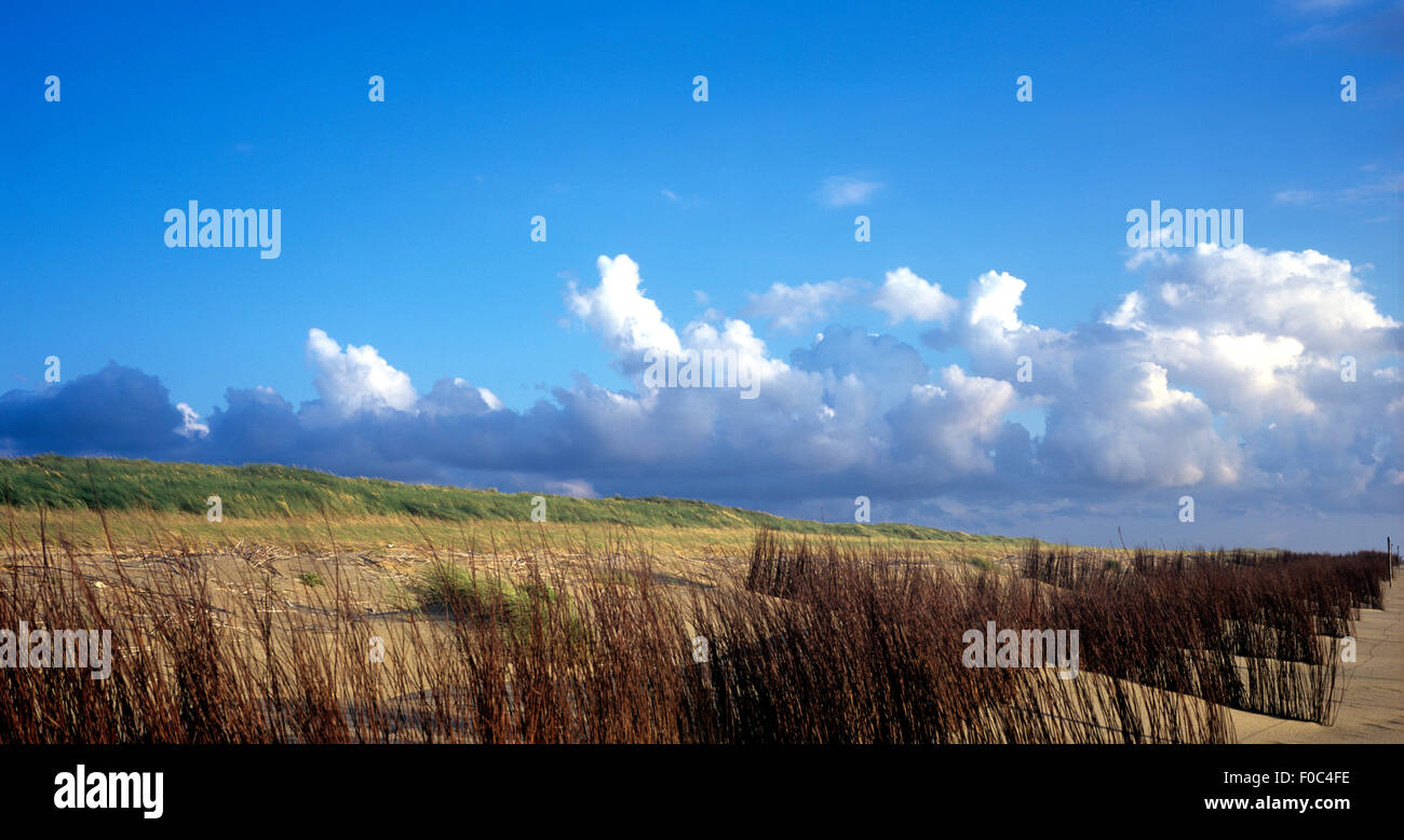 Nordseeduene; Nordsee; Sehen; Meer; Sand; Stockfoto