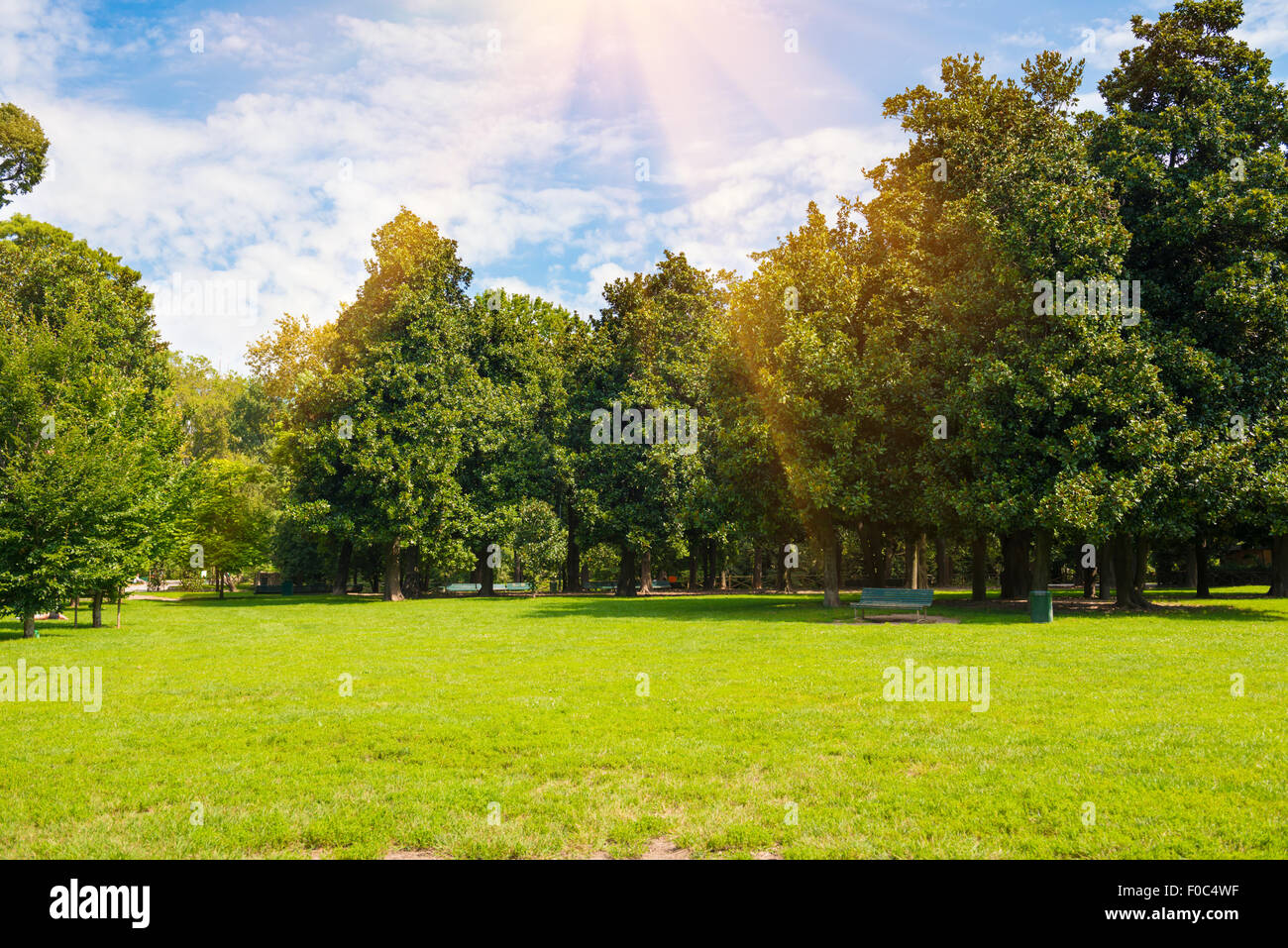 Grünen Rasen-Bäumen im Park unter sonnigen Licht mit Sonnenstrahlen Stockfoto