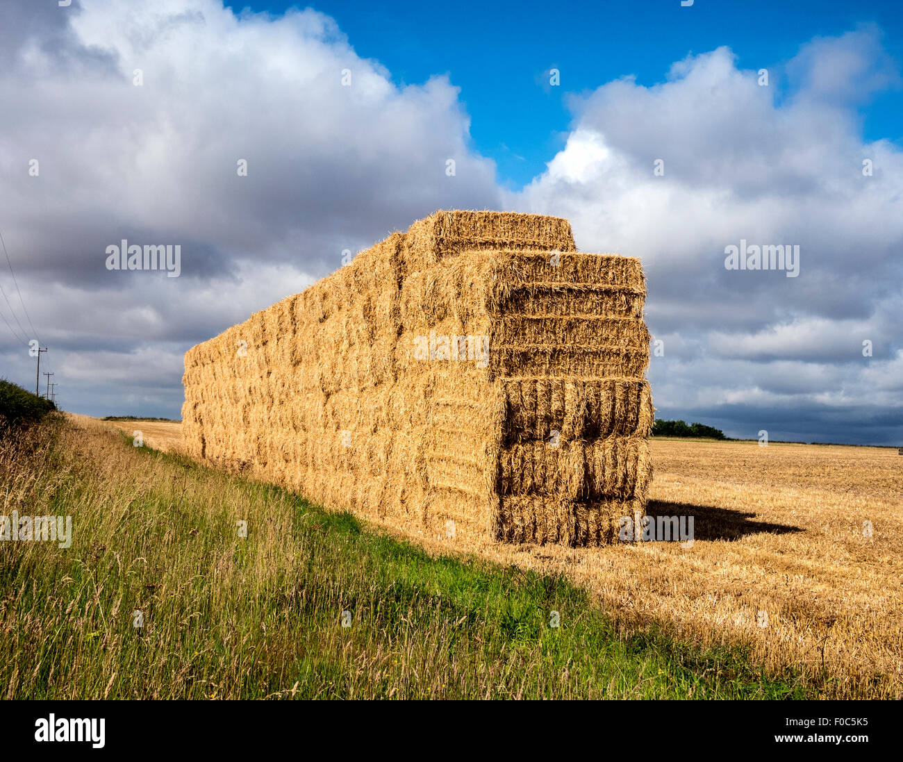 Stapel von Stroh-Ballen und Tierwelt Feldrand nach Ernte auf Yorkshire Wolds UK Stockfoto