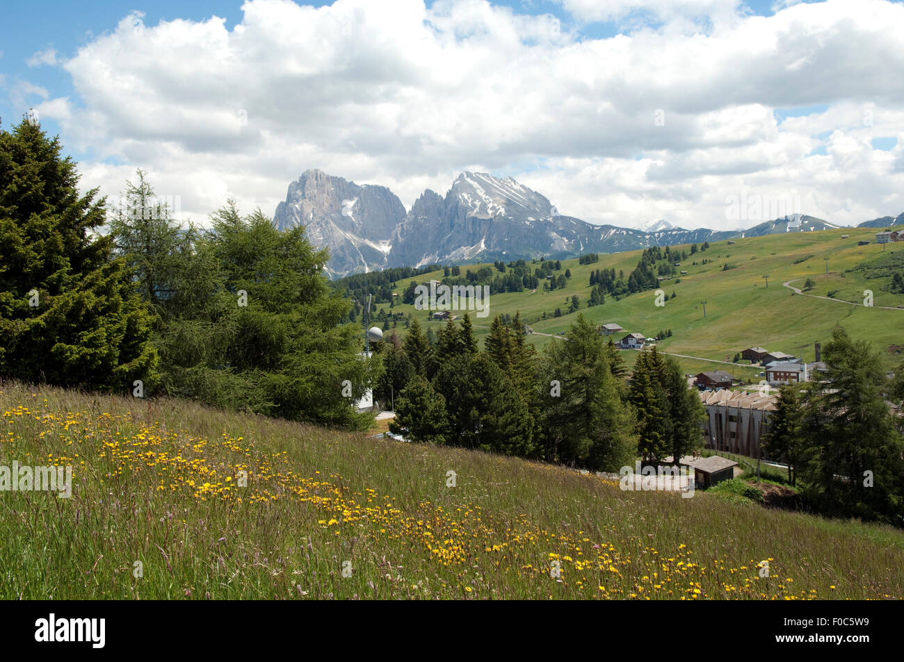 Plattkofels, Langkofel, Seiser, Alm, S Stockfoto