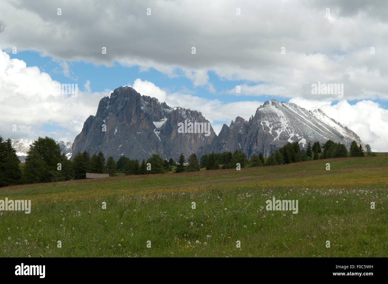 Plattkofels, Langkofel, Seiser, Alm, Stockfoto