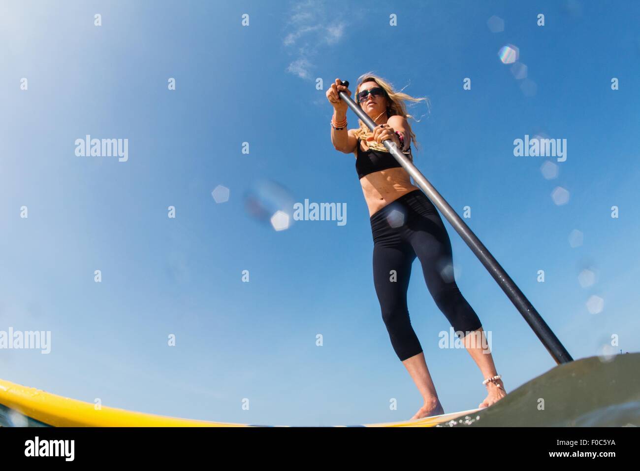 Niedrigen Winkel Ansicht der Mitte Erwachsene Frau standup Paddling Stockfoto