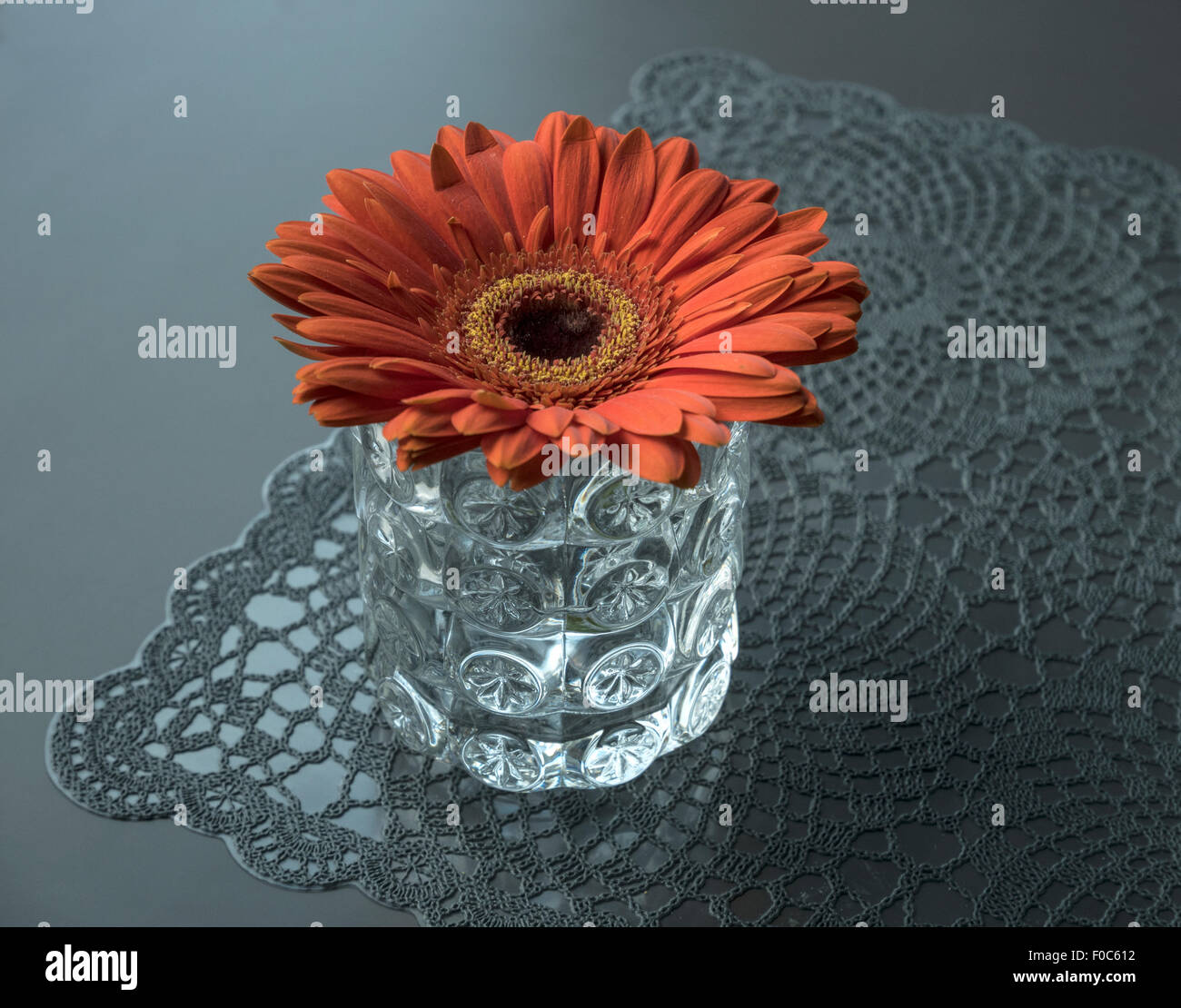 Gerbera Blume im Glas Stockfoto