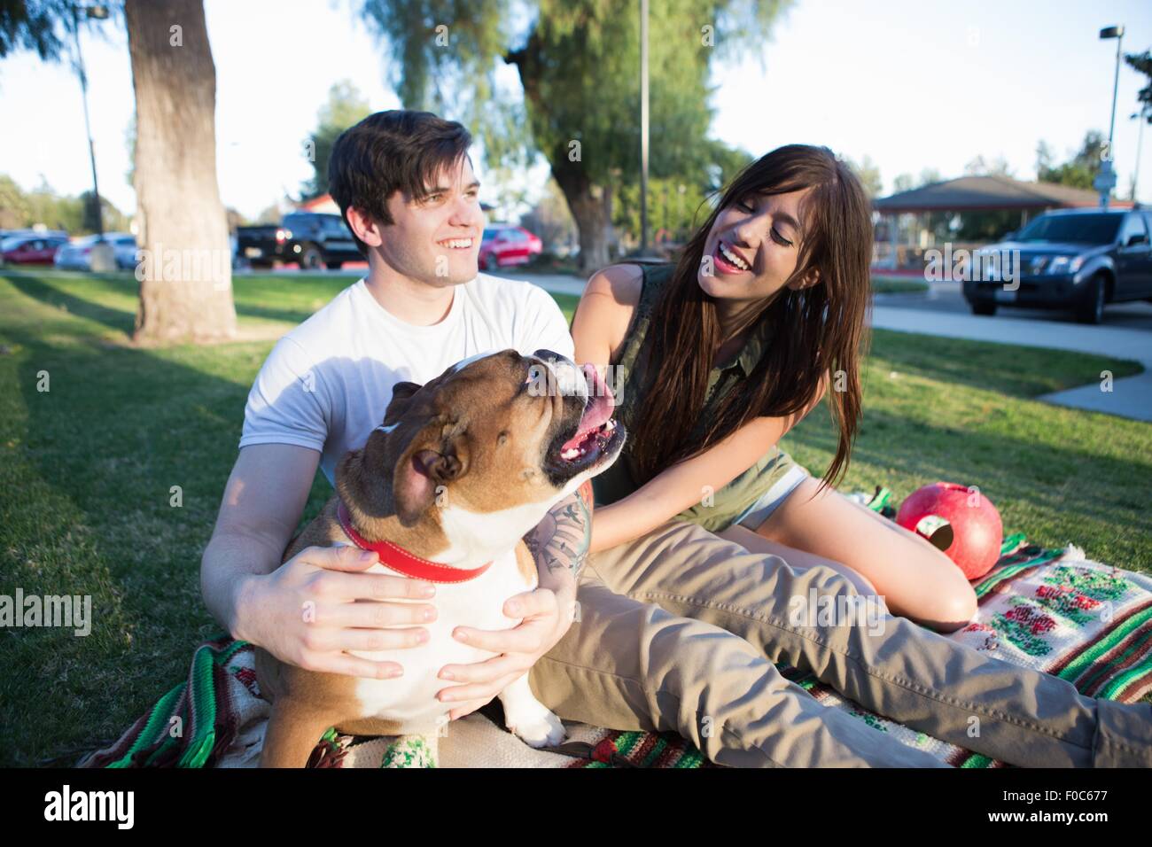 Junges Paar im Park Petting bulldog Stockfoto