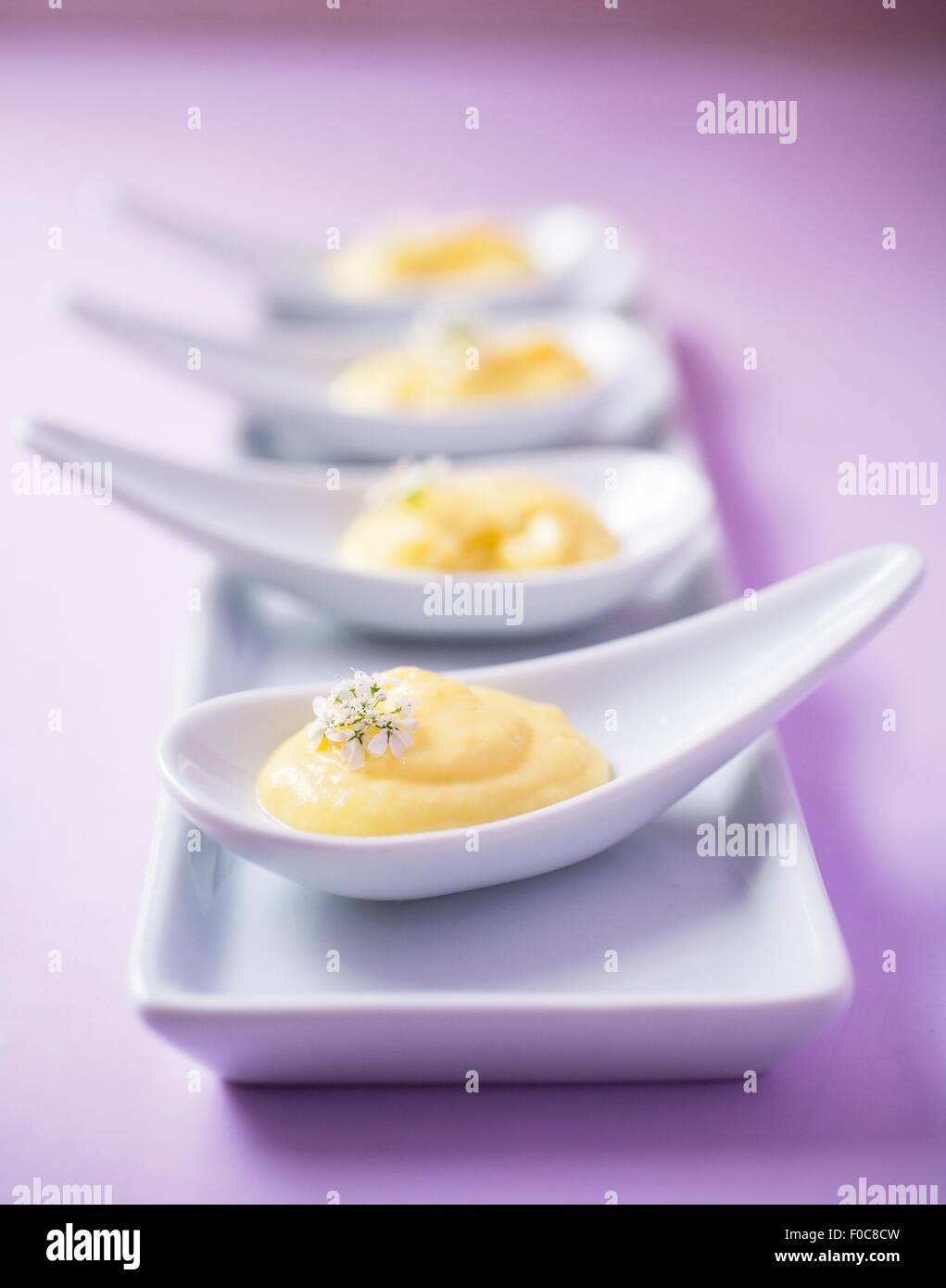 Vier Creme-Desserts auf China Löffel Stockfoto
