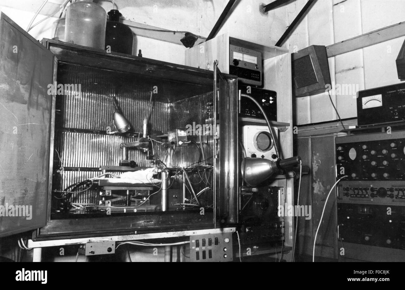 Medizin, Labor, EEG an einer anästhetisierten Ratte in Faraday Käfig, physiologisches Institut, Humboldt-Universität, Berlin, 20. Jahrhundert, Forschung, Wissenschaft, Wissenschaft, Tierversuch, Tierversuche, Tier, Tiere, Messung, Gehirnwellen, EEG, Elektroenzephalogramm, Elektroenzephalographie, Medizin, Medizin, Labor, Labor, Labore, Laboratorien, Ratten, historisch, historisch, Additional-Rights-Clearences-nicht vorhanden Stockfoto