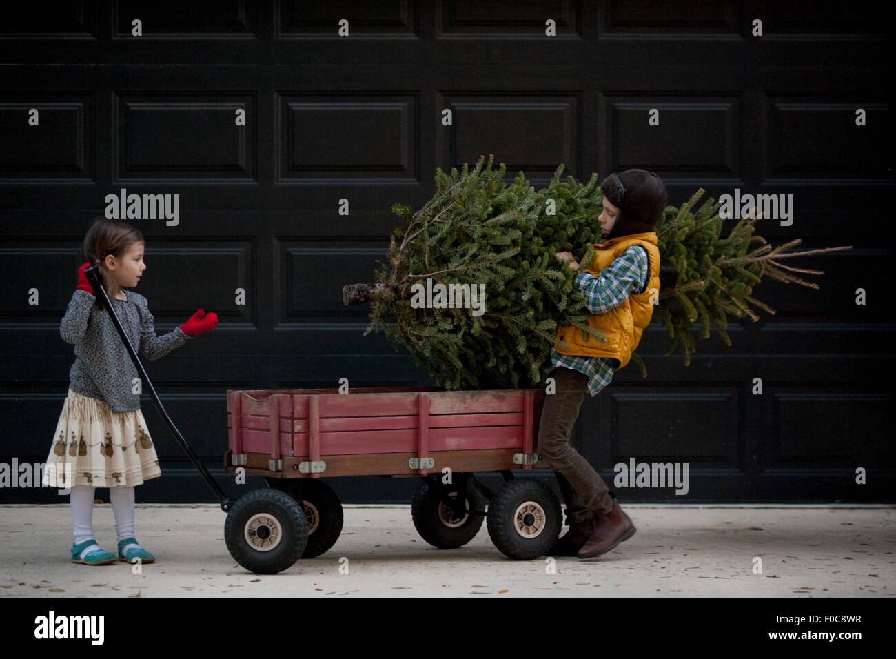 Mädchen und jungen Laden Wagen mit Weihnachtsbaum Stockfoto