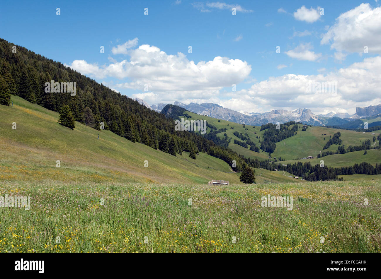 Seiser Alm, Dolomiten, UNESCO-Weltnaturerbe Dolomiten, Stockfoto