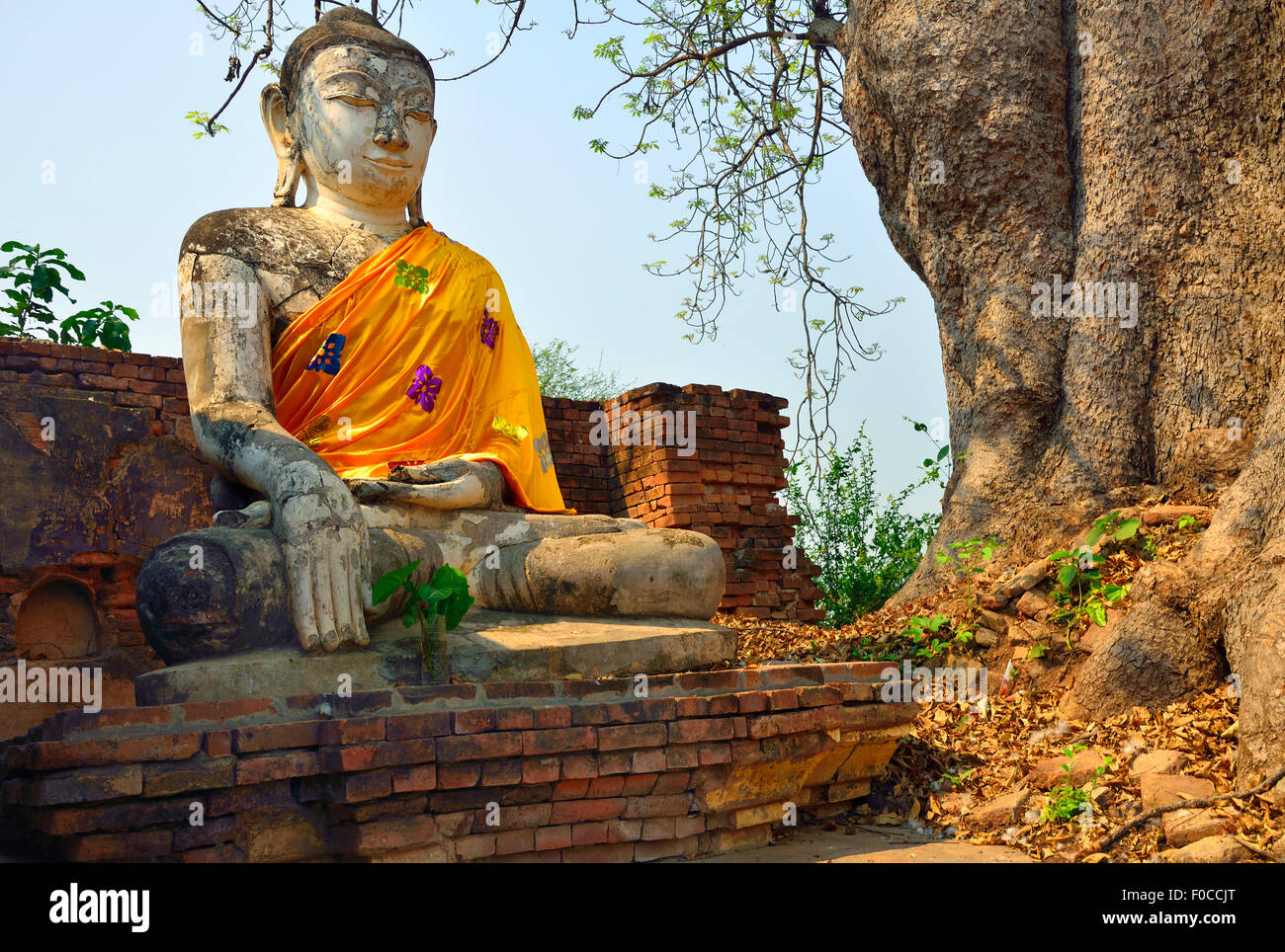 Ein Buddha mit gold Silk Schärpe an ländliche Pagode neben Banyan-Baum in der Nähe von Inwa (Ava), Myanmar (Burma, Birma) Asien sitzen Stockfoto