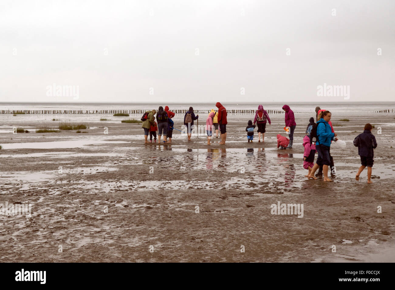 Wattwanderung, Wattenmeer, Nordseeküsten Stockfoto