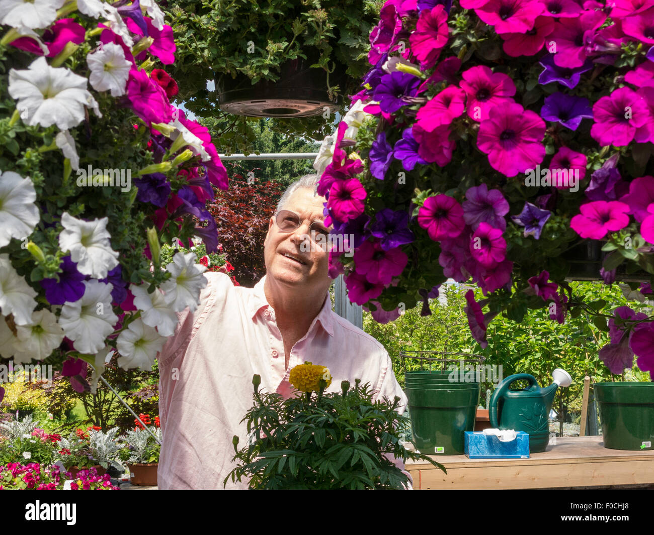 Reifer Mann Einkaufen bei Blumen Gärtnerei, USA Stockfoto