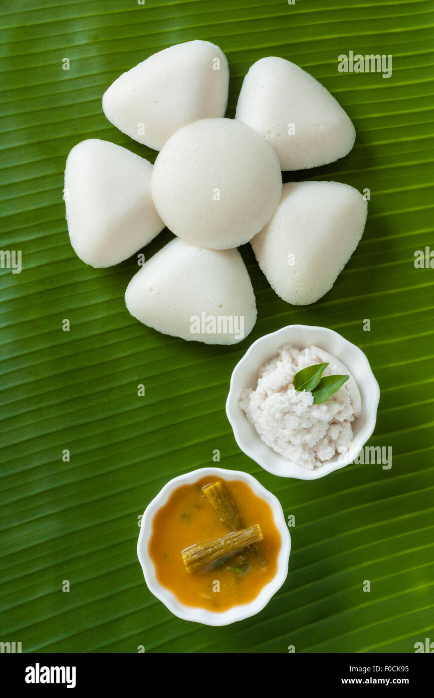 Frischen gedünsteten indischen untätig (Idli) als eine Blume auf traditionelle Bananenblatt dekorativ angeordnet. Serviert mit Chutney und Sambar. Stockfoto