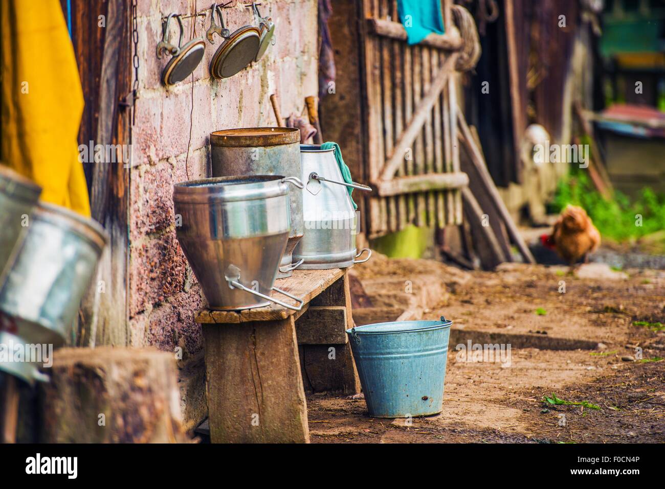 Vintage europäischen Bauernhof mit Hühnern und Melktechnik. Alter Bauernhof. Stockfoto