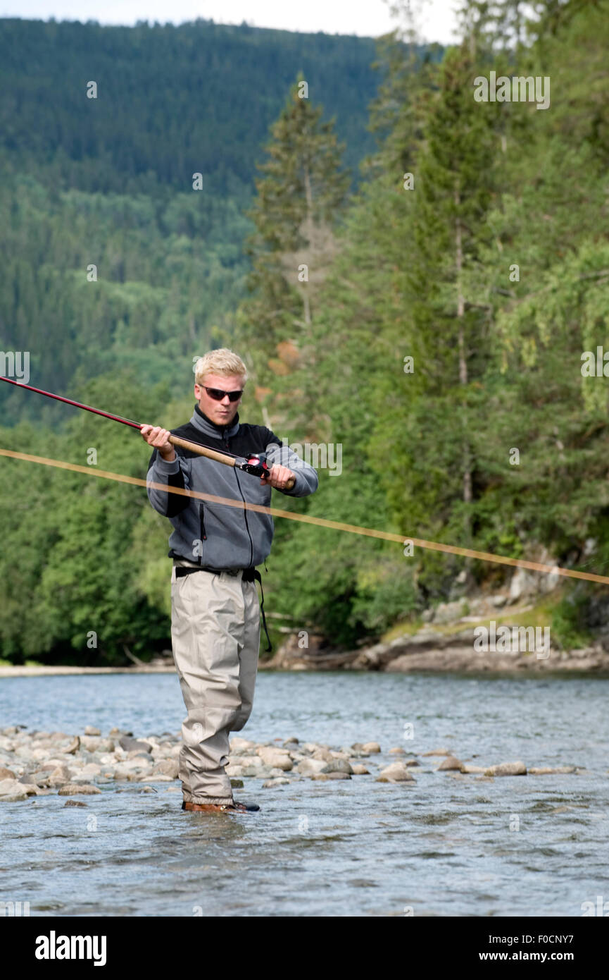 Fischer, Fliegenfischen in den Fluss Orkla, Norwegen, September 2008 (Modell freigegeben) Stockfoto