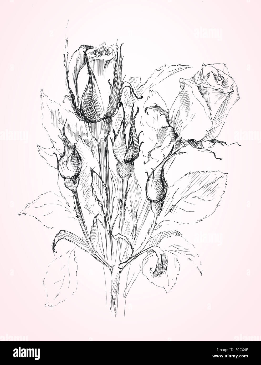 Blumen Skizze Stockfotografie Alamy