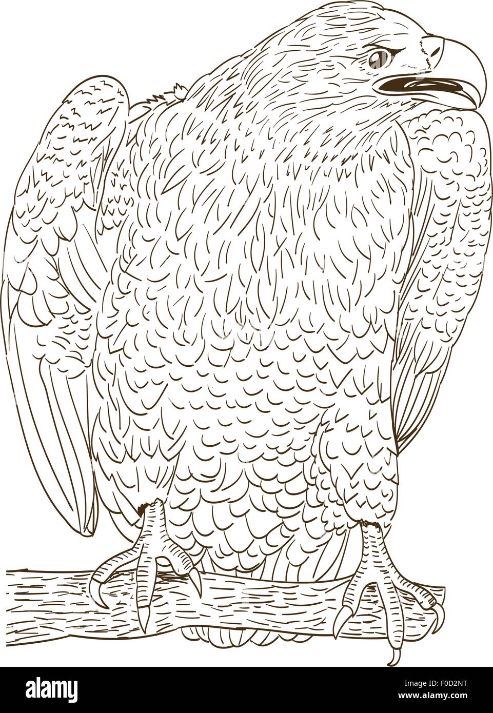 großer Adler monochrome Zeichnung auf weiß Stock Vektor