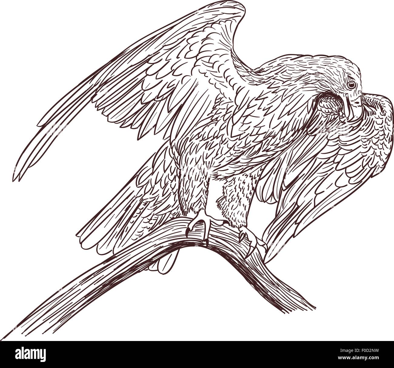 Adler-Monochrome Zeichnung auf weiß Stock Vektor