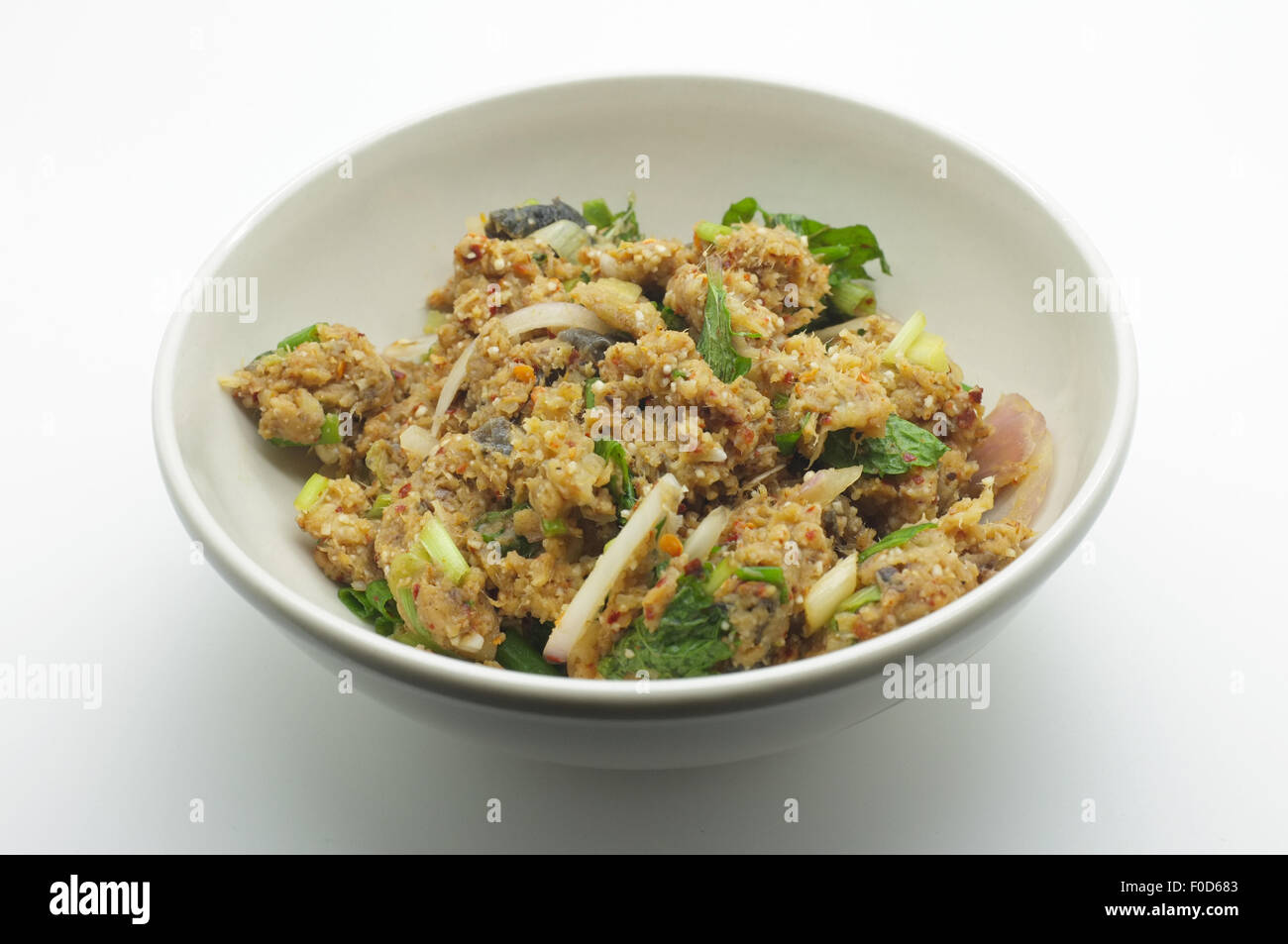 Würziges Hackfleisch / Wels, thailändisches Essen Stockfoto