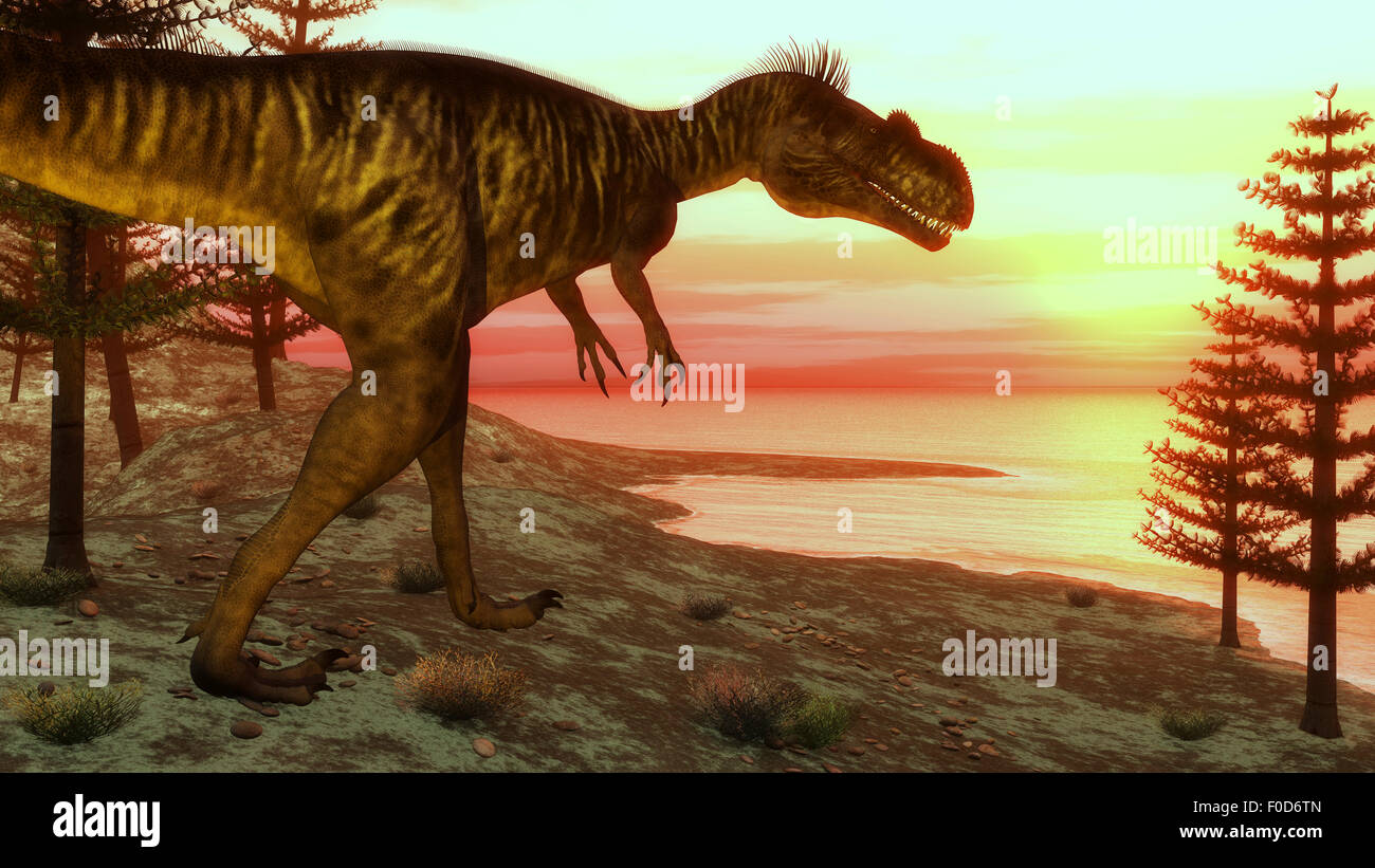 Megalosaurus Dinosaurier zu Fuß in Richtung Meer bei Sonnenuntergang. Stockfoto