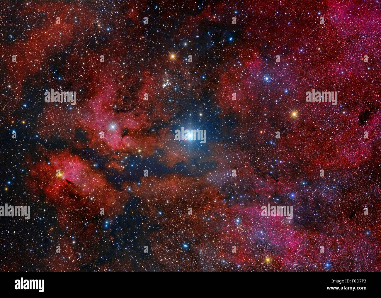 Gamma Cygni Star und seine Umgebung. Stockfoto