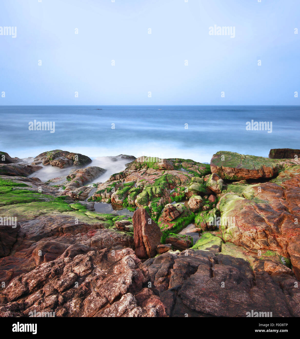 Algen felsigen Ufer der Aazhimala Strand, Chowara, Trivandrum, Kerala Stockfoto