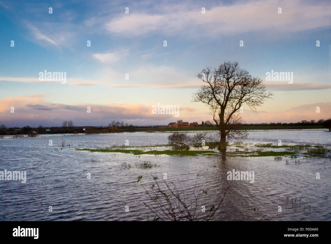 Überfluteten Ackerland in der Nähe von York November 2012 Stockfoto