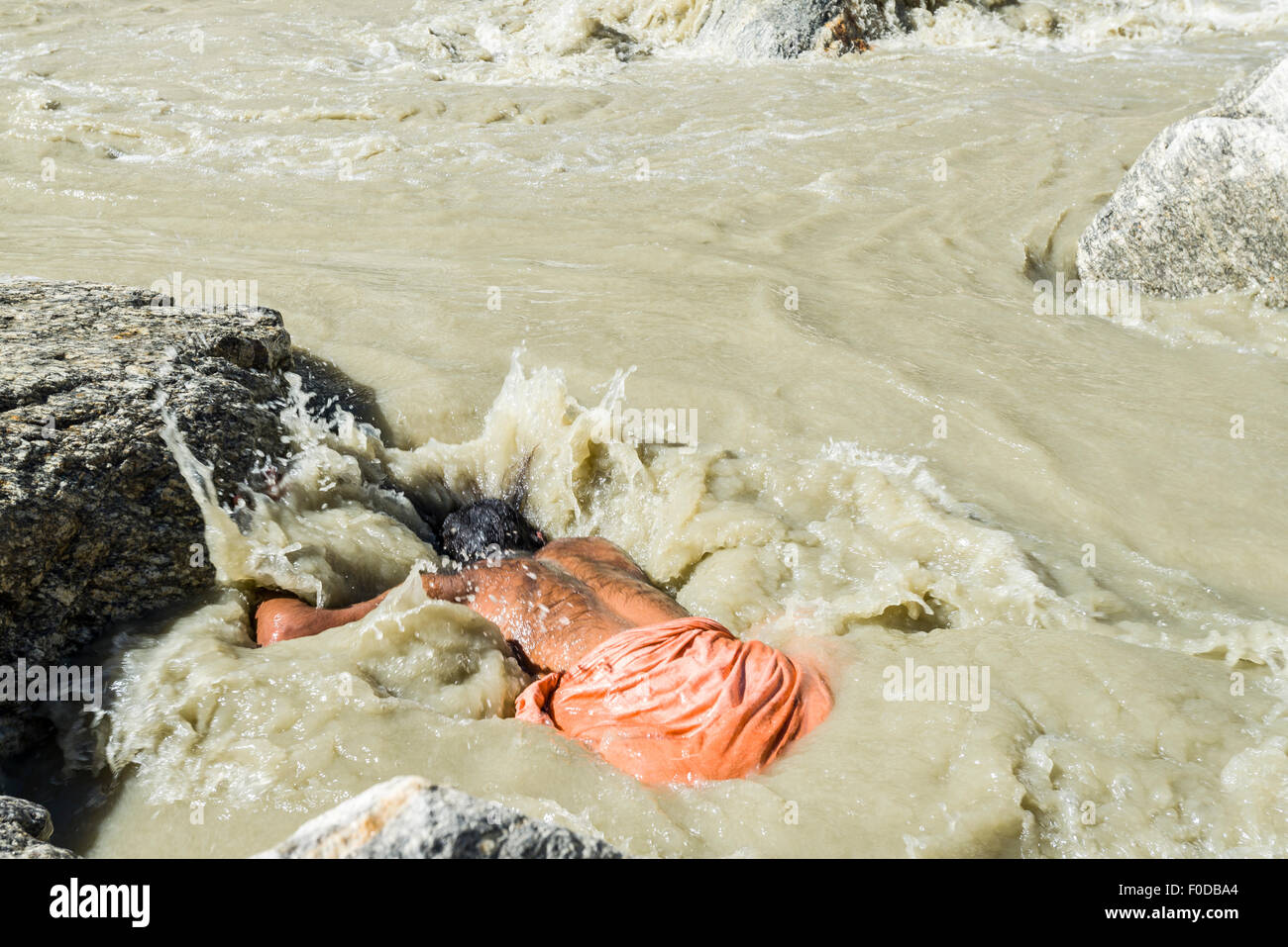 Ein Sadhu, heiliger Mann, nimmt Bad in der eiskalten kaltem Wasser bei Gaumukh, die Hauptquelle des heiligen Flusses Ganges, Gangotri Stockfoto