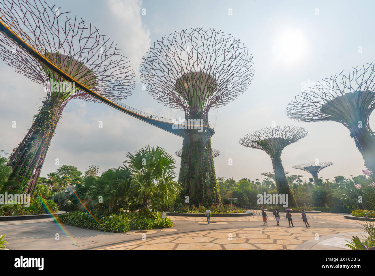 SuperTrees, Gardens by the Bay, Singapur Stockfoto
