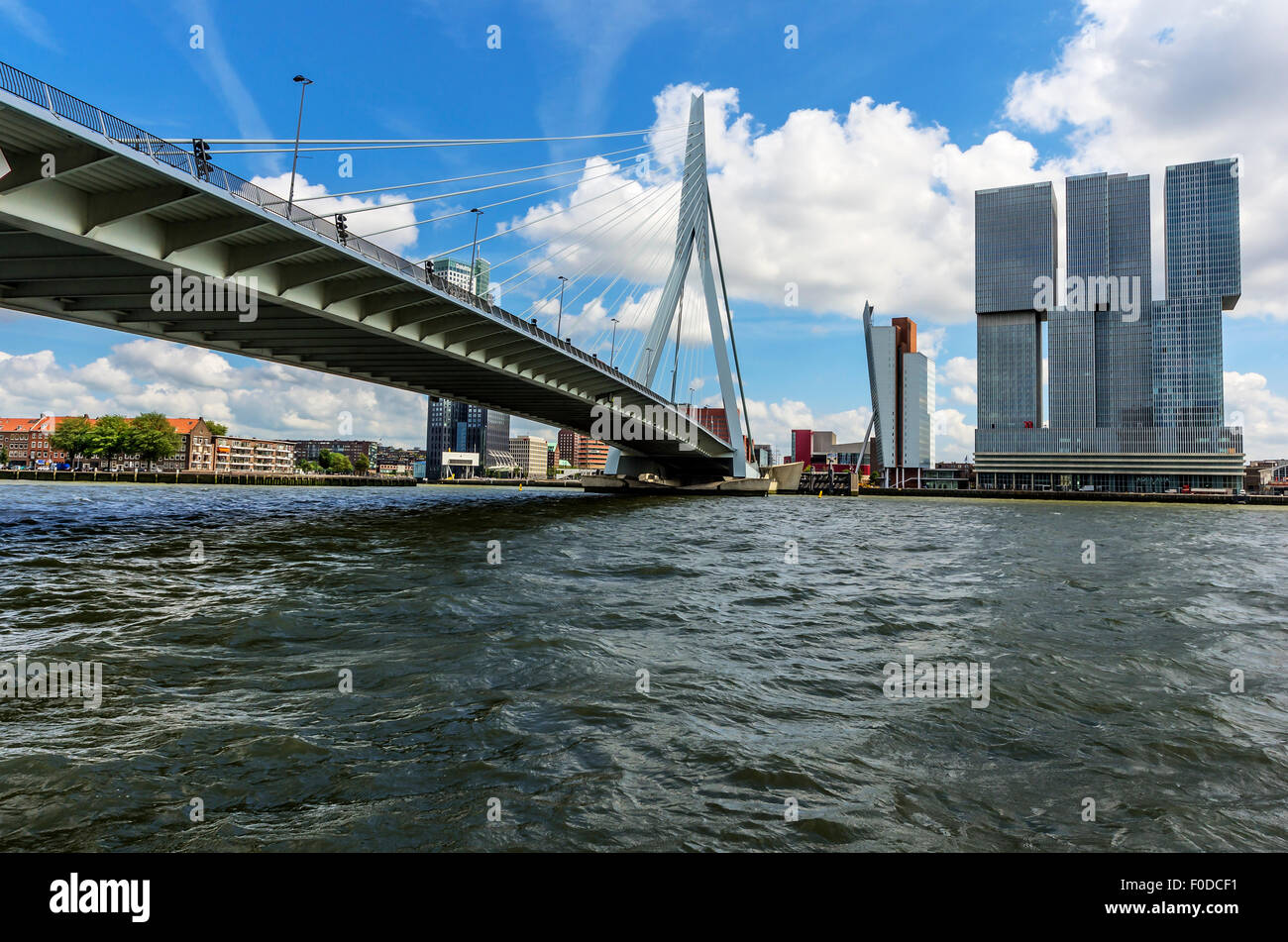 Skyline mit Erasmusbrücke oder Erasmusbrücke, neue Maas, Rotterdam, Holland, Niederlande Stockfoto
